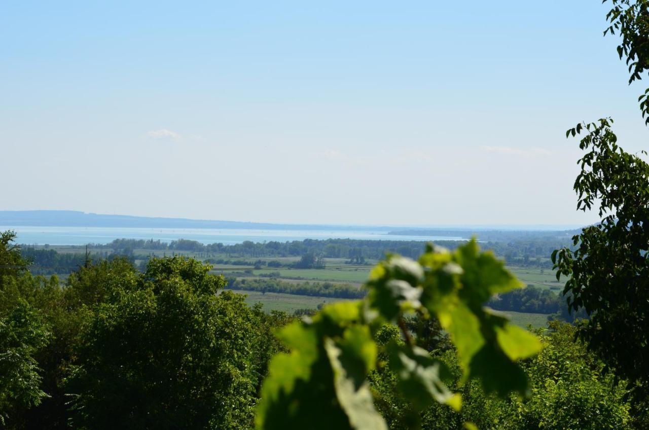 Grand Cru 3. Vendeghaz Villa Hegymagas Exteriör bild
