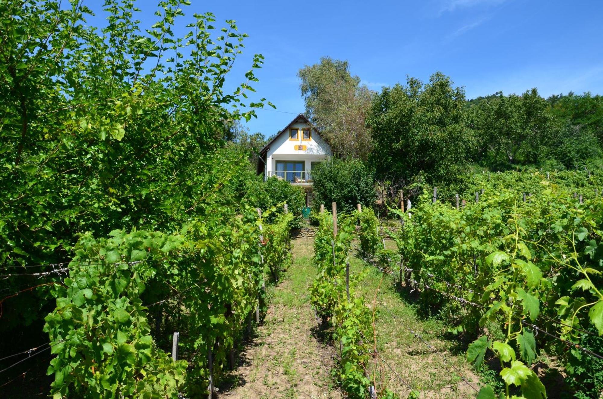 Grand Cru 3. Vendeghaz Villa Hegymagas Exteriör bild